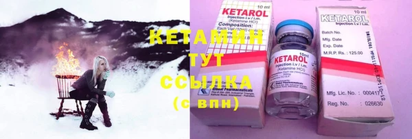 гидра Верхний Тагил