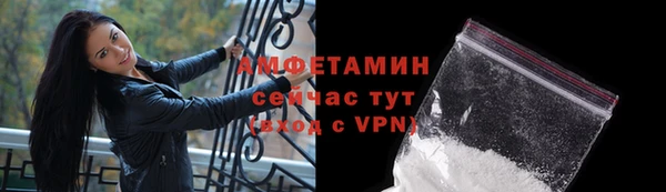 гидра Верхний Тагил