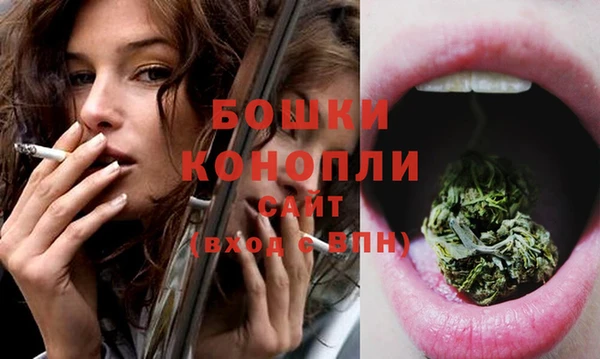 гидра Верхний Тагил