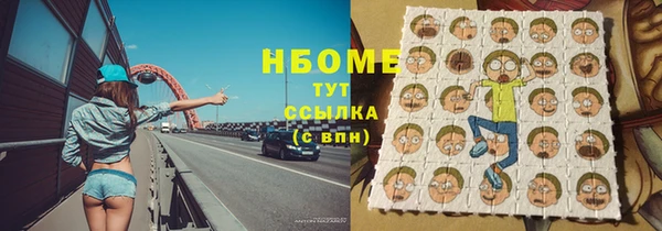 гидра Верхний Тагил
