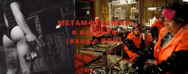 гидра Верхний Тагил